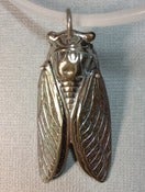 Image of Winged Cicada