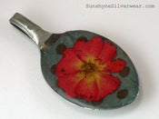 Image of Forever Summer Wild Rose 