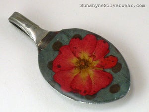 Image of Forever Summer Wild Rose 