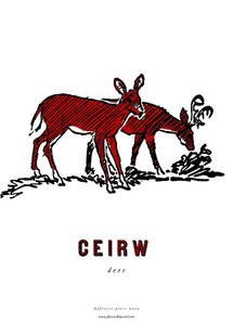 Image of fforest cymraeg 'ceirw' deer
