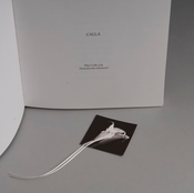 Image of Calla