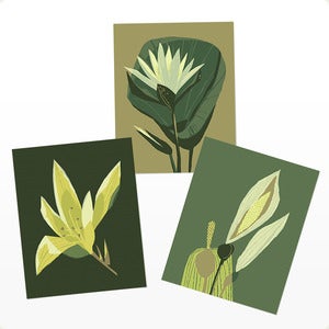Image of Three Flowers