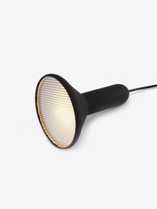 Image of Torch Light