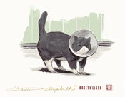 Image of Chumley's Cone of Shame Print (Limited Edition) 