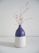 Image of Soliflore / Blanc et bleu-violet
