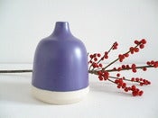 Image of Soliflore /  Bleu-violet