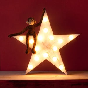Image of LENA star lamp