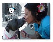 Image of HELLO BULLY 2013 WALL CALENDAR - 6 PACK