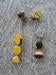 Image of Long chain earrings