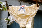 Image of Primrose