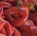 Image of Pepper - Jimmy Nardello