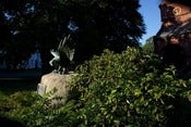 Image of HERE: The Lincoln Public Library 13