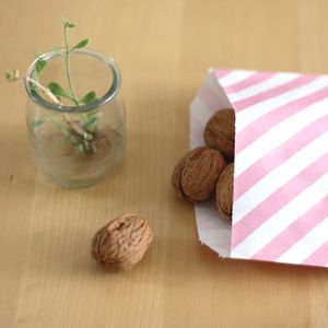 Image of Sachets rayés 
