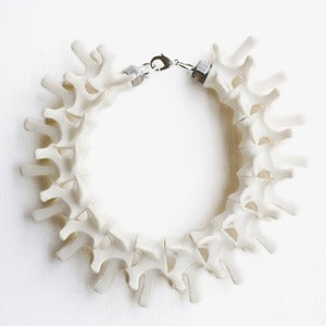 Image of VERTEBRAE