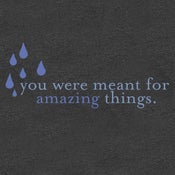 Image of "You Were Meant For Amazing Things" Shirt
