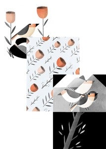 Image of Birds Card Set