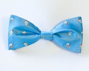 Image of Rainbowtie Dash