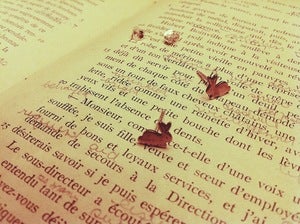 Image of Little Bunny Studs