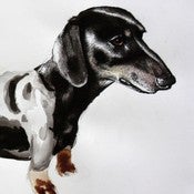 Image of Sausage Dog 18 x 8 print