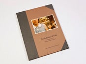 Image of The Seduction of Color - Robert E. Jackson