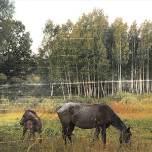 Pianos Become the Teeth - Old Pride CD