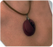 Image of Mora Seed Necklace