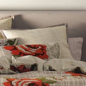 Image of rose european pillowcase