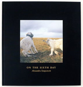 Image of On the Sixth Day by Alessandra Sanguinetti(Signed)