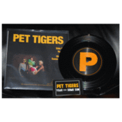 Image of Pet Tigers 2-Song 7" Vinyl