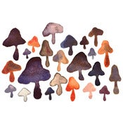 Image of Mushrooms - print