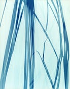 Image of blue and white print