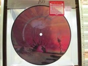 Image of the Flaming Lips ~ Do You Realize?? 7"  pciture disc