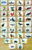 Image of ANIMAL BLOCKS