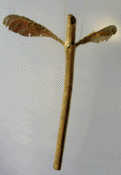 Image of medium messenger stick