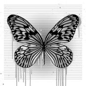 Image of BUTTERFLY SPLAT SERIES 3 