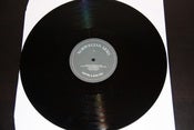 Image of Norwegian Arms - Wolf Like A Stray Dog LP (TEST PRESSING)