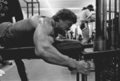 Image of Leg Curls 20" x 24"