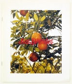 Image of Orange Grove by Roe Ethridge