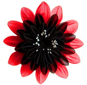 Image of Un Año De Amor