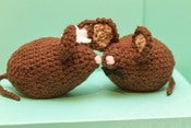 Image of Mr & Mrs Mousie