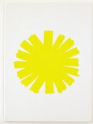 Image of The Sun As Error by Shannon Ebner (Signed)