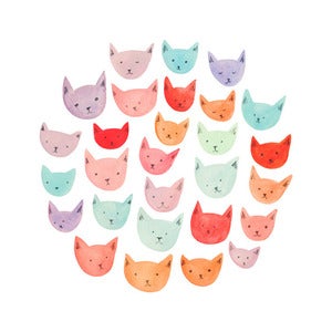 Image of CATS