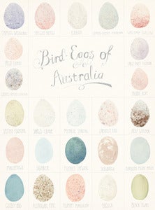 Image of BIRD EGGS OF AUSTRALIA