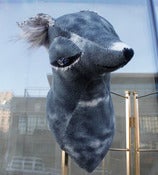 Image of Fox Head