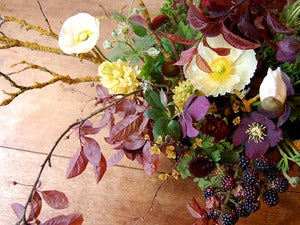 Image of FLOWER CLASS