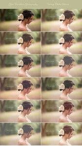 Image of BDP Vintage Matte Action Set for Photoshop