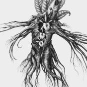Image of Botanist "IV: Mandragora" CD 