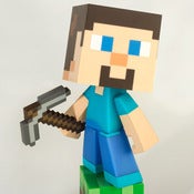 Image of MAD x MINECRAFT STEVE? Vinyl.