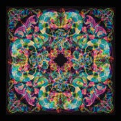Image of Carnovsky Scarf - Rosone N°1