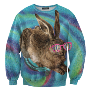 Image of Crazy rabbit sweater
